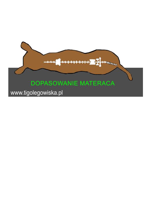 MATERACE ORTOPEDYCZNE-MEMORY - obrazek 3
