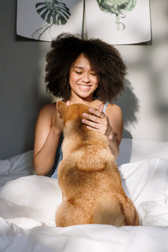 A joyful woman in bed playing with her Shiba Inu dog in a sunlit bedroom, creating a warm and cozy atmosphere.